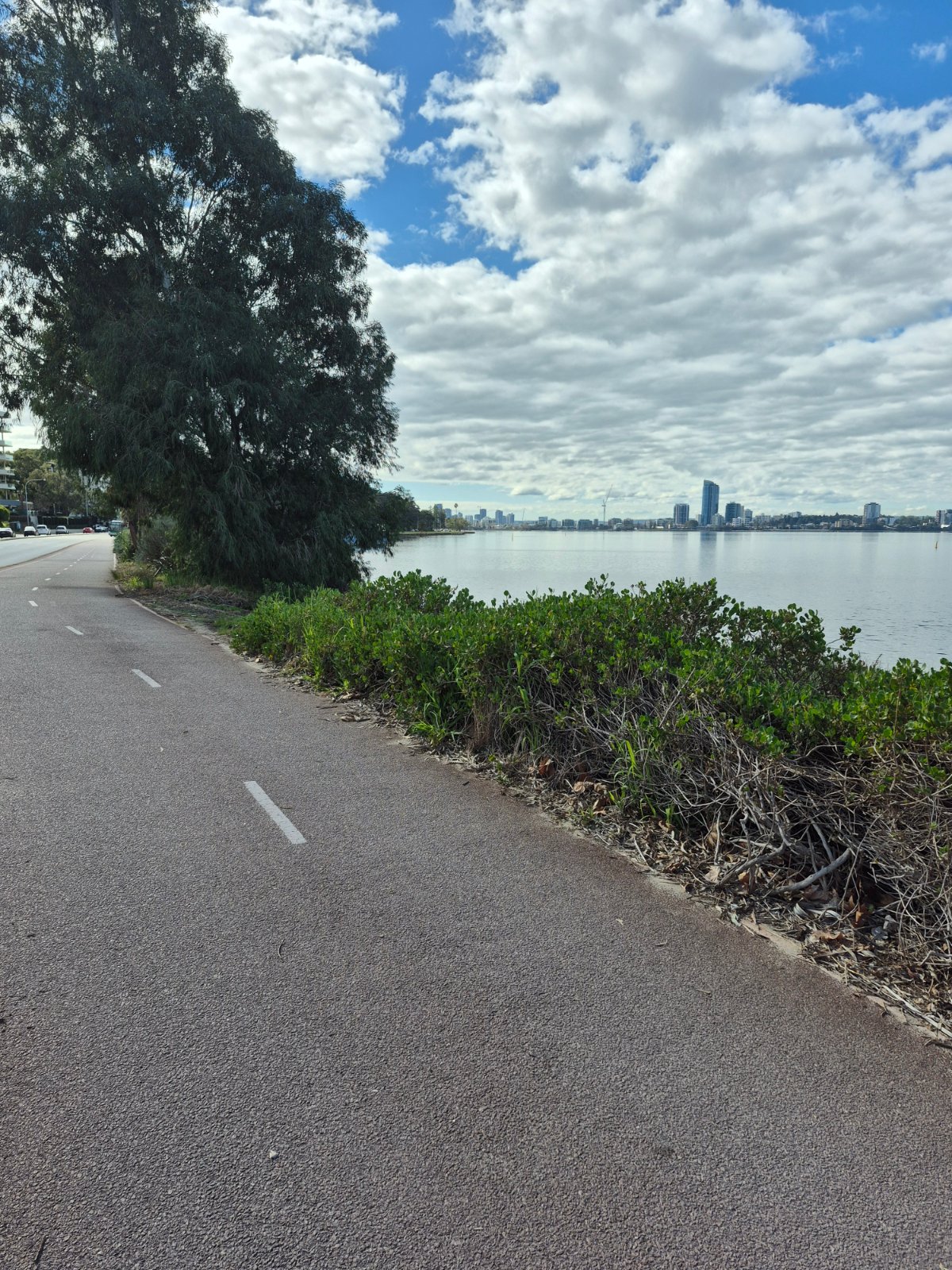 As great place to do excercise I would recommend a walk or run along the swan river.