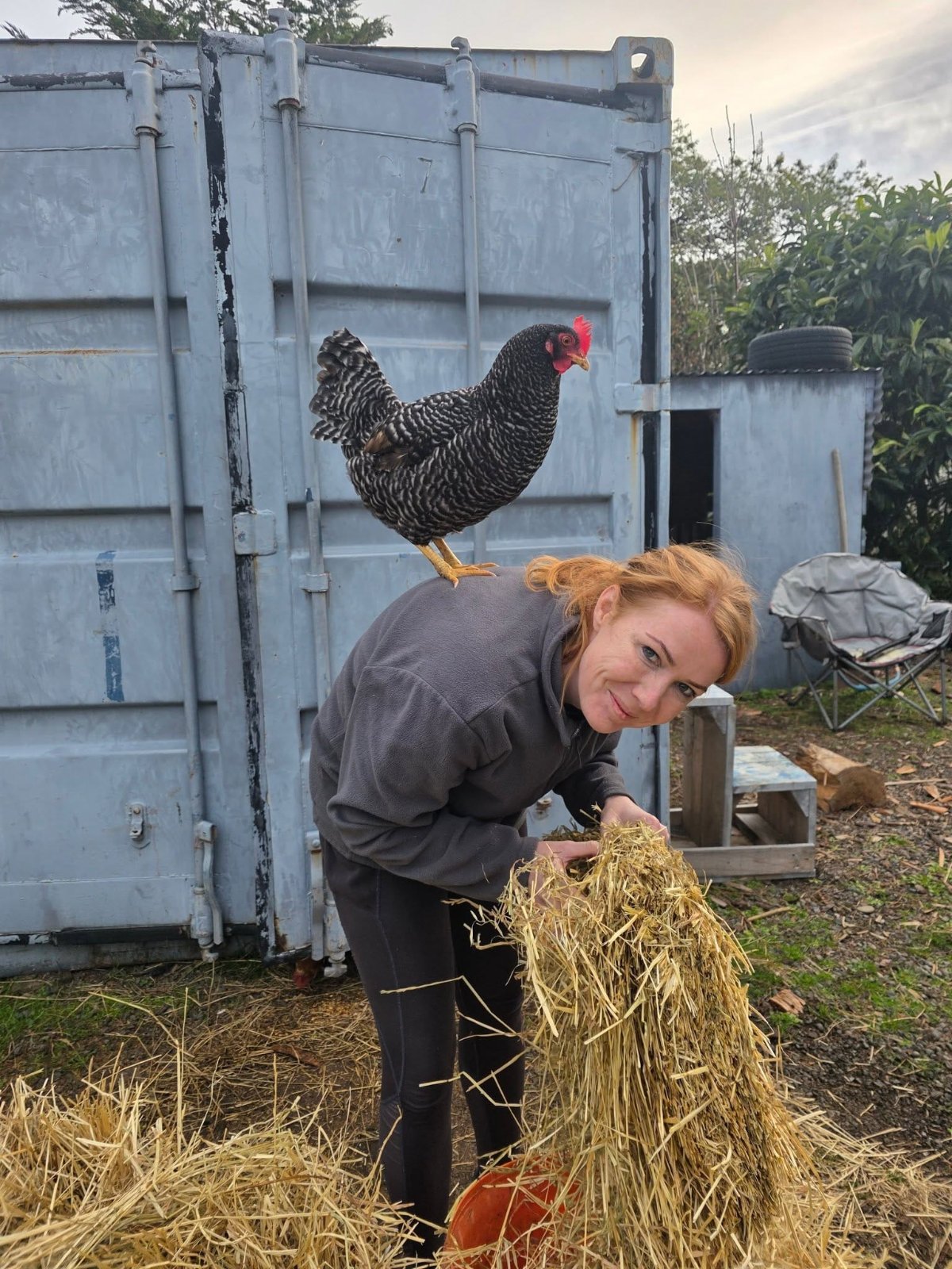 Some chook assistance :-)